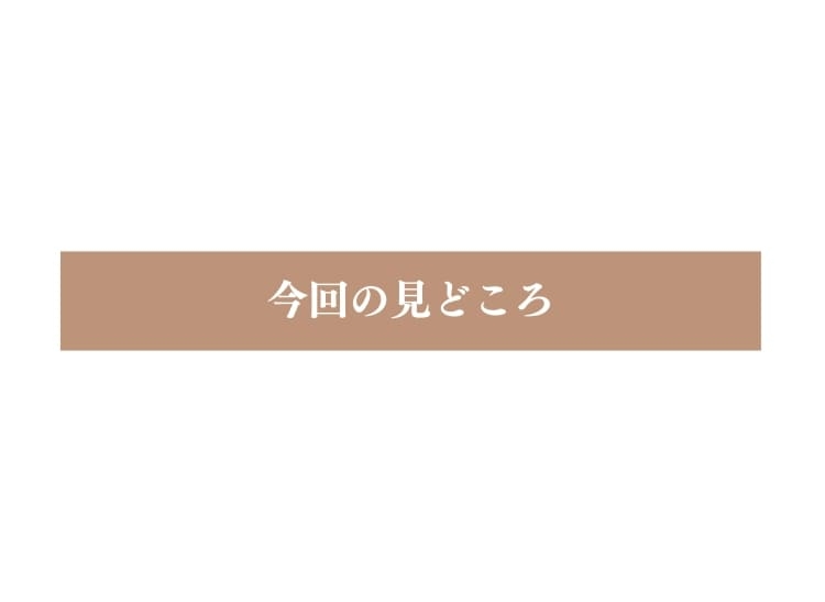 今回の見どころ
