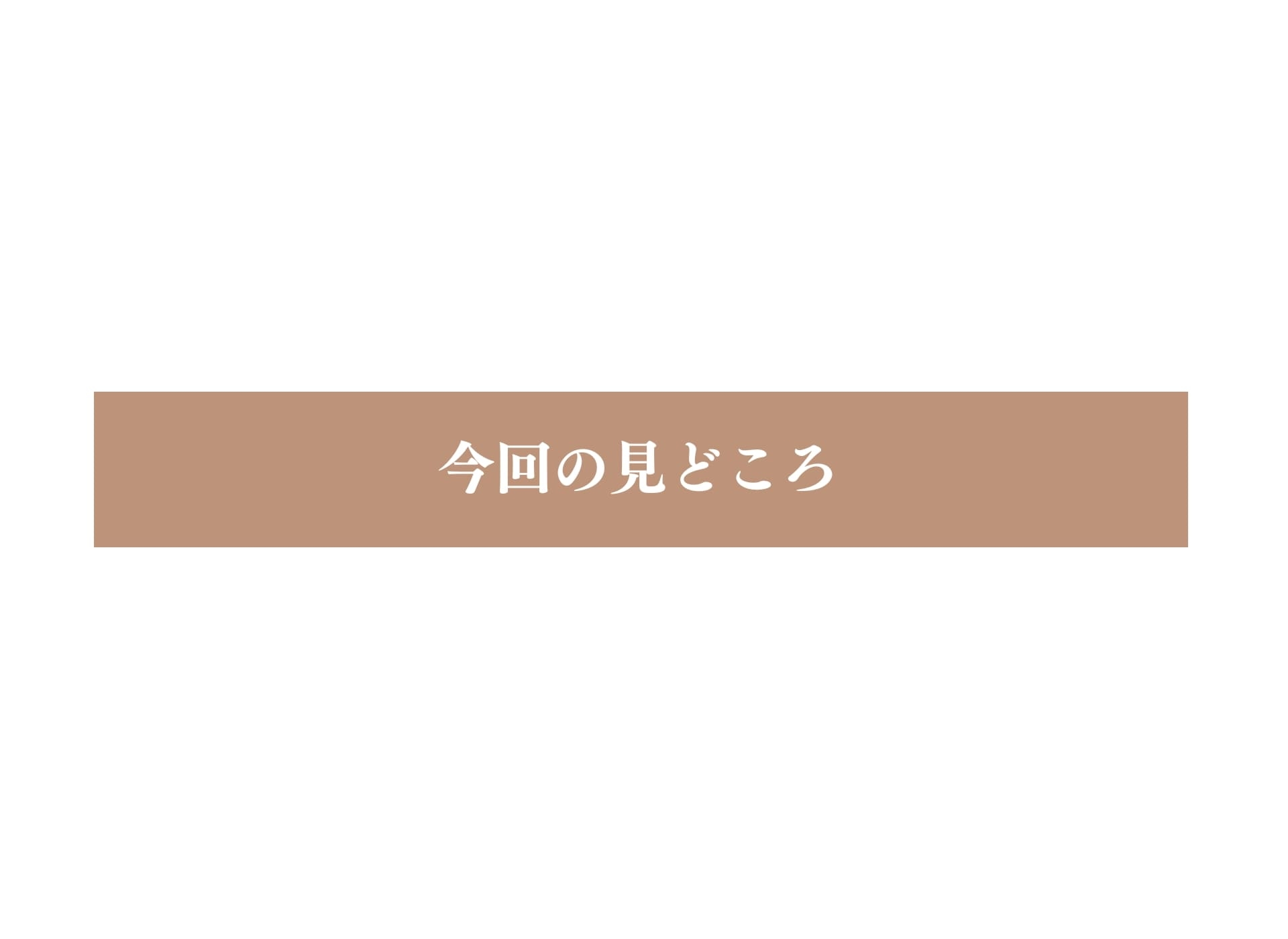 今回の見どころ