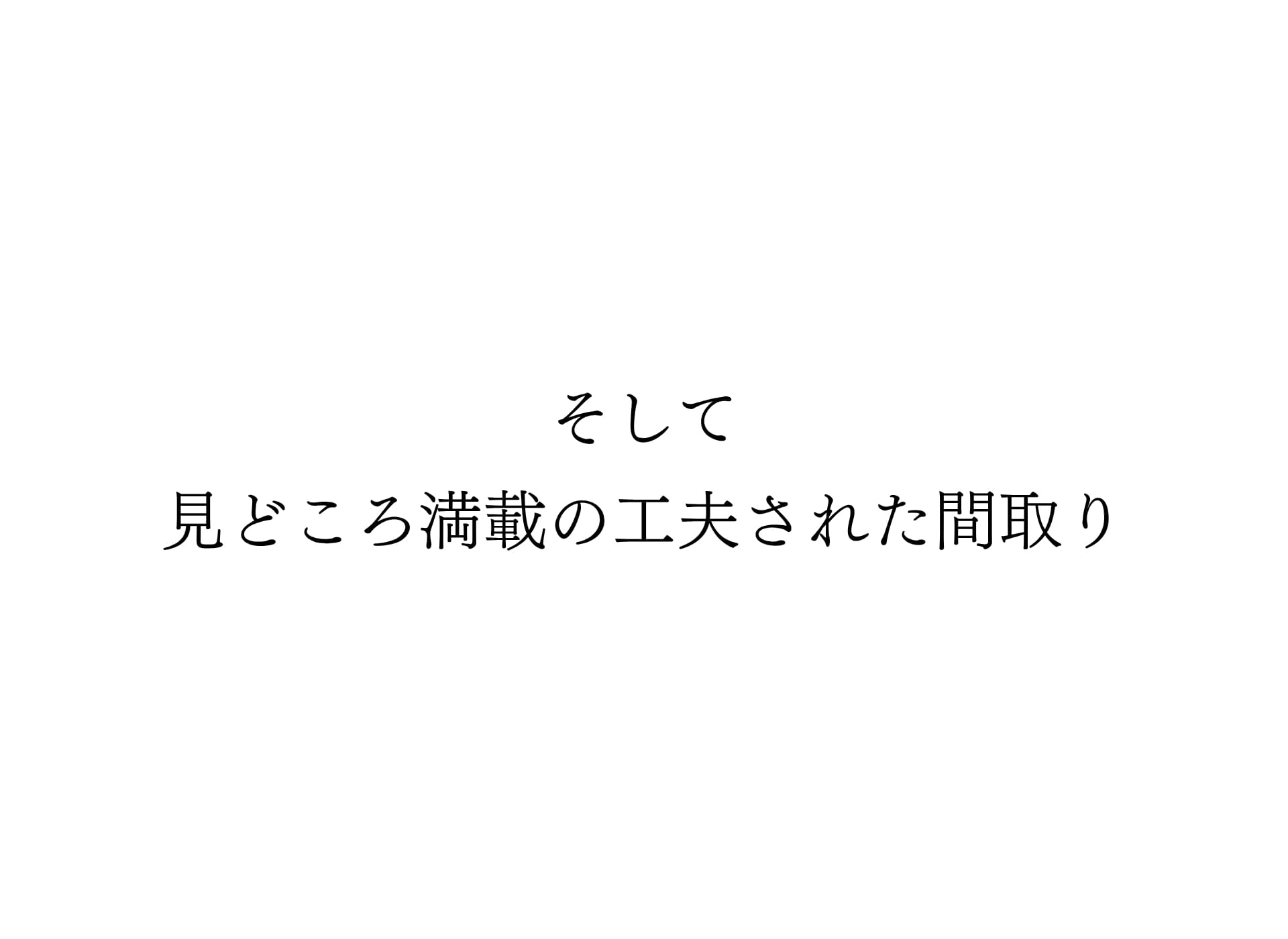 見どころ満載
