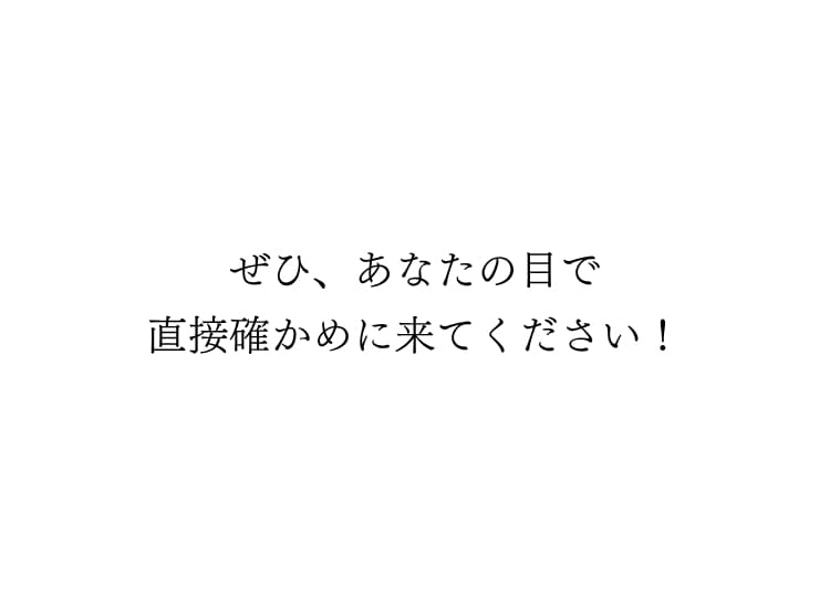 見に来てください