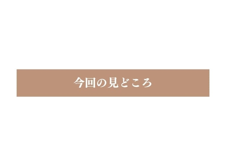 今回の見どころ