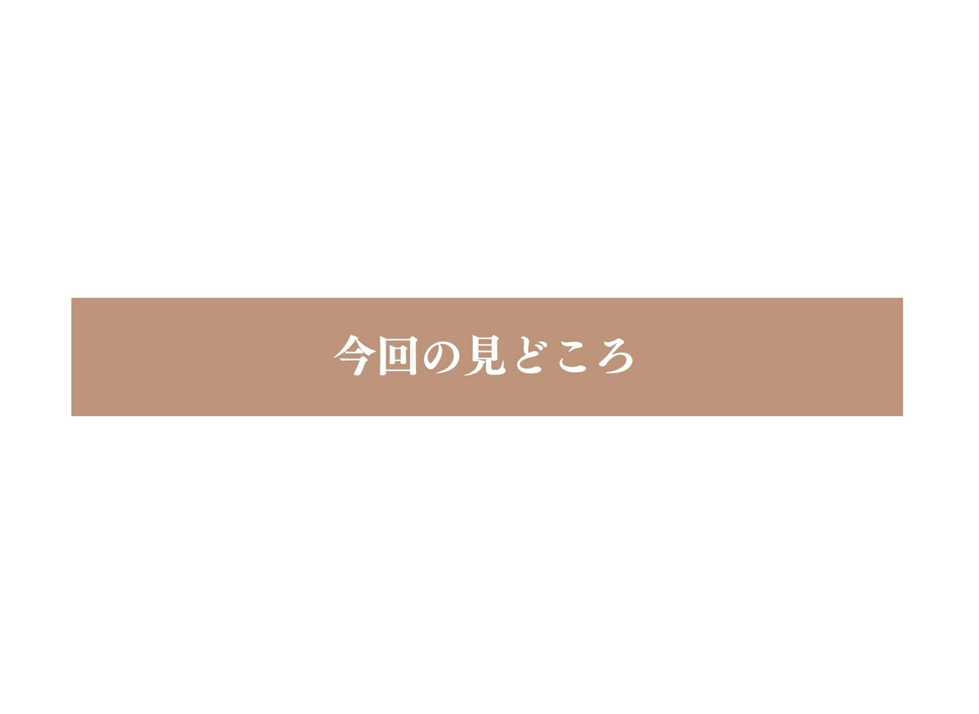 今回の見どころ
