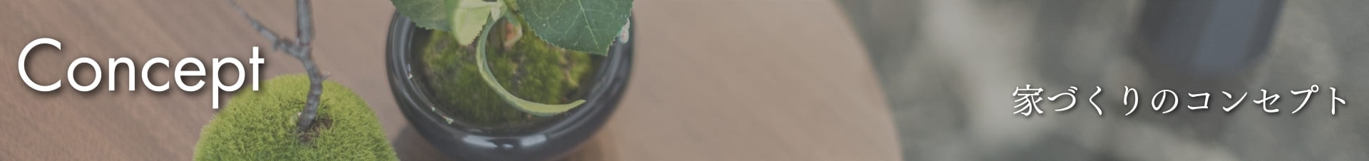 housingbanner01.png